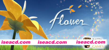 花/Flower